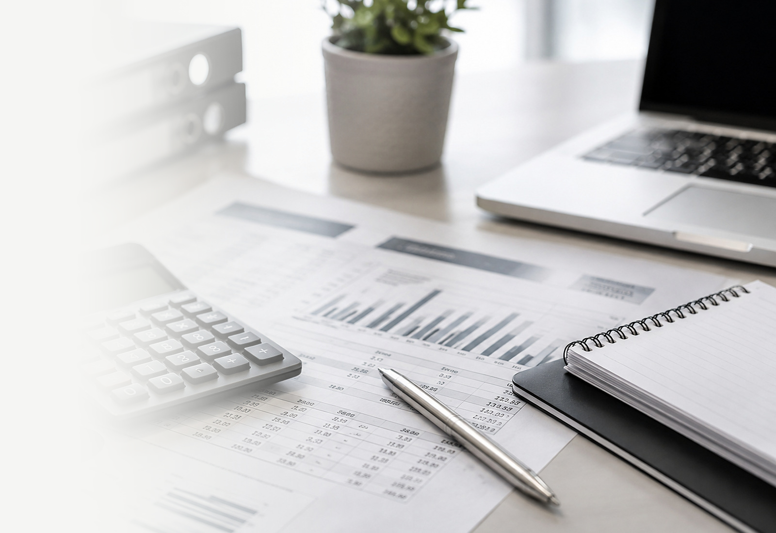 Remroc Accounting financial workspace